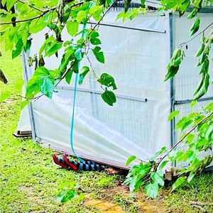 Meet your Posher, Xarah!